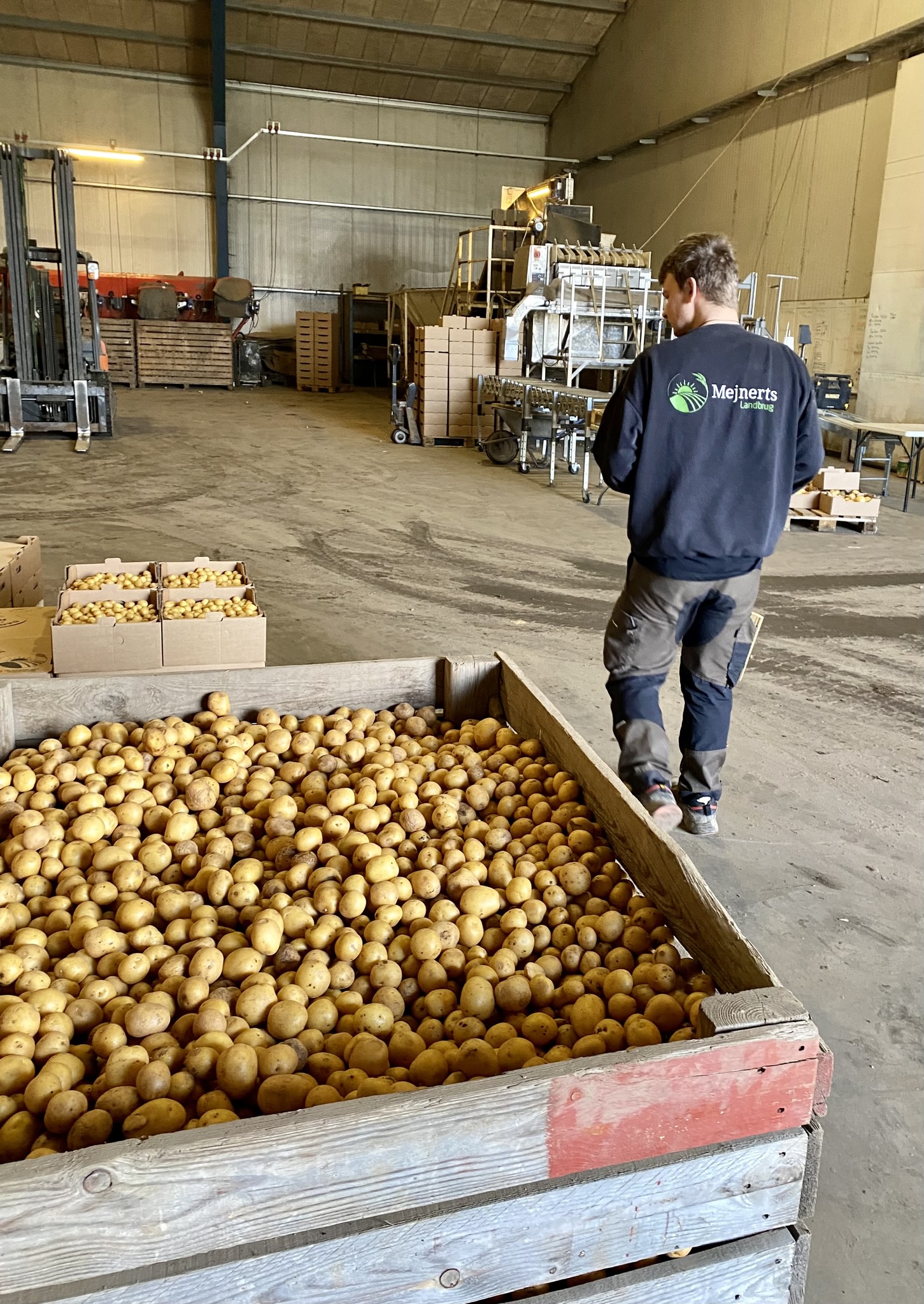 FødevareBanken - 🥔🥔 I dag har vi hentet 500 kg fine,... | Facebook
