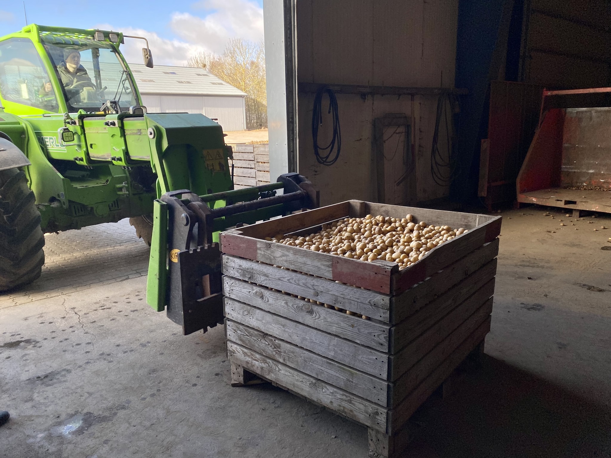 FødevareBanken - 🥔🥔 I dag har vi hentet 500 kg fine,... | Facebook