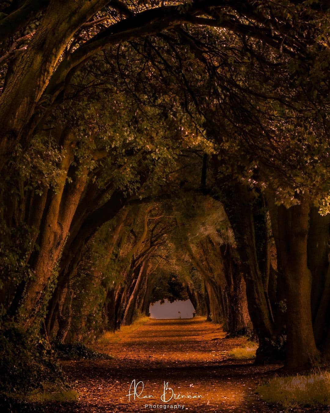 Visit_Ireland_ - What a beautiful photo from St Anne's...