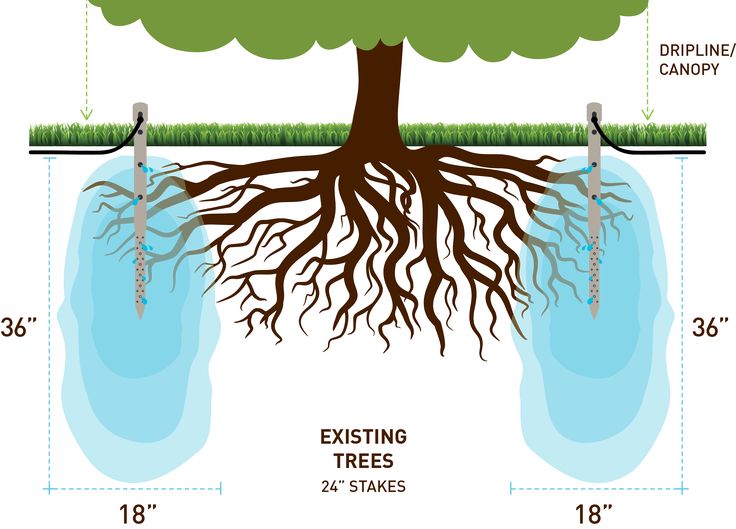 How its Works | a deep root watering system designed to efficiently ...