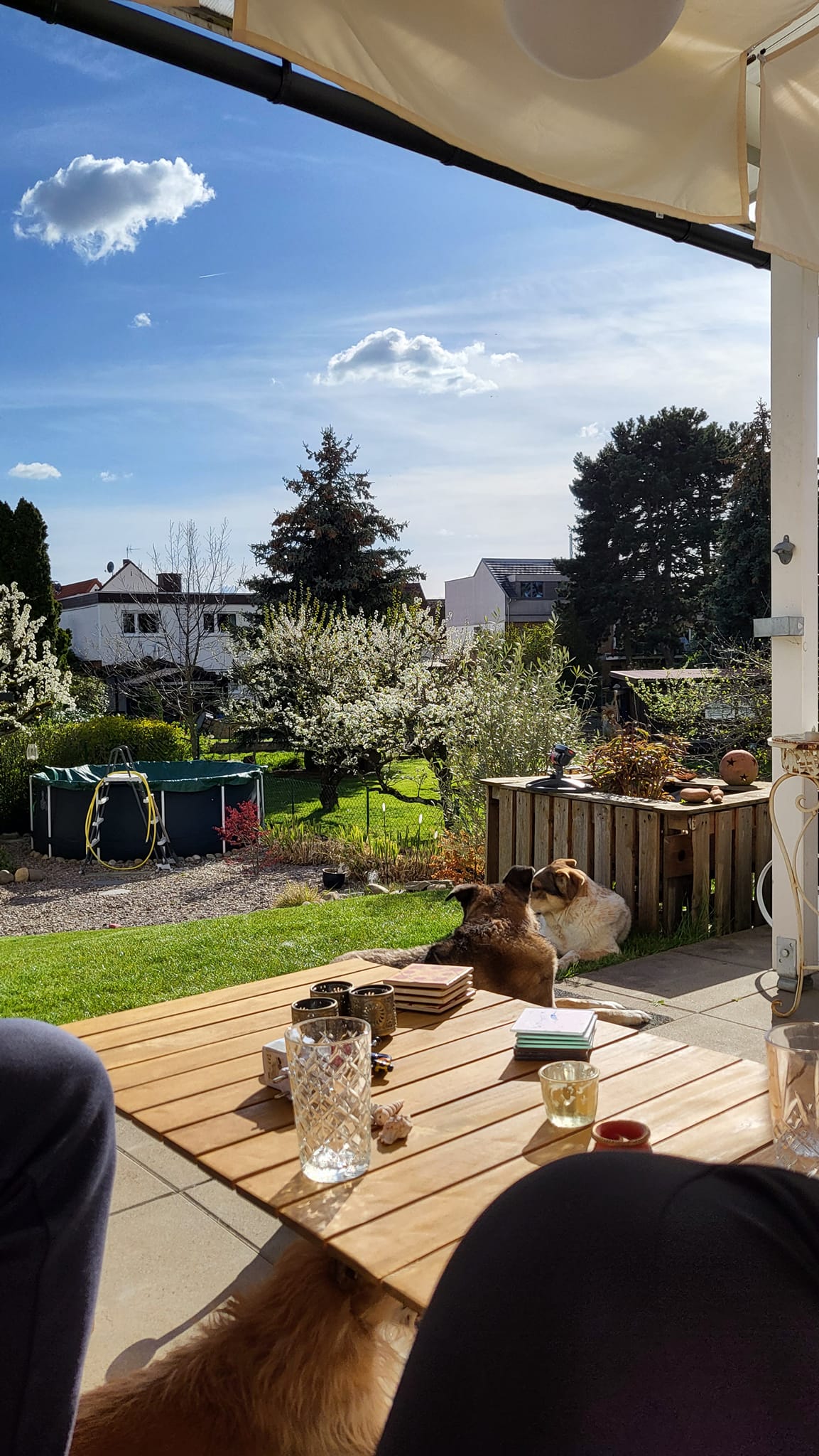1000 mm wassersäule zelt Luxus-Pop-up-Zelt – 5000 – Beige – für 4 Personen Airlineschienen Größe:10 cm Giant talon e+ ex