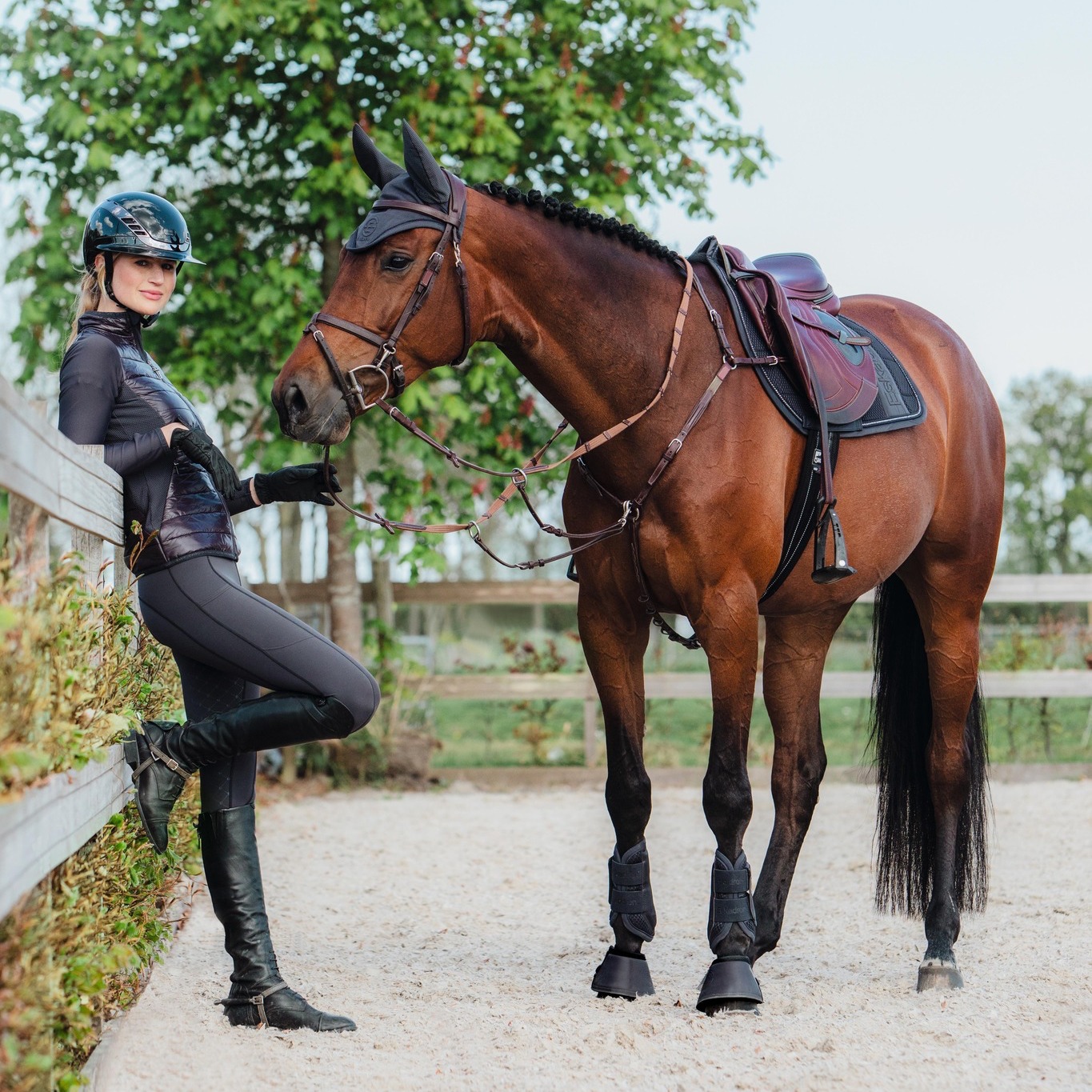 Express Equine - The Eskadron Big Square Mesh Crystal... | Facebook