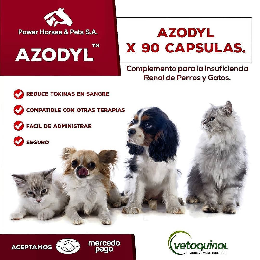 Power Horses - 🐕 AZODYL x 90 cápsulas. 🐕 . Es una...