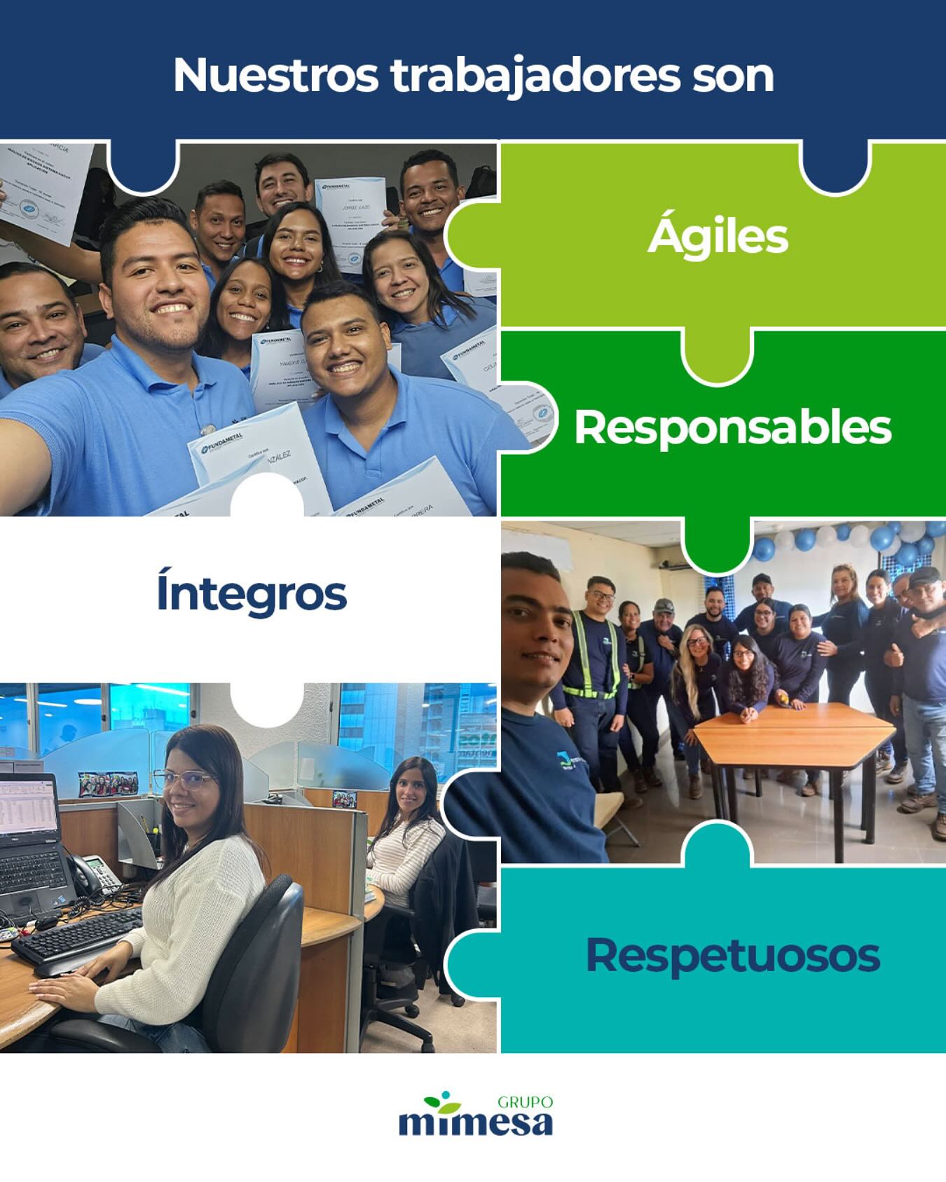 Grupo Mimesa