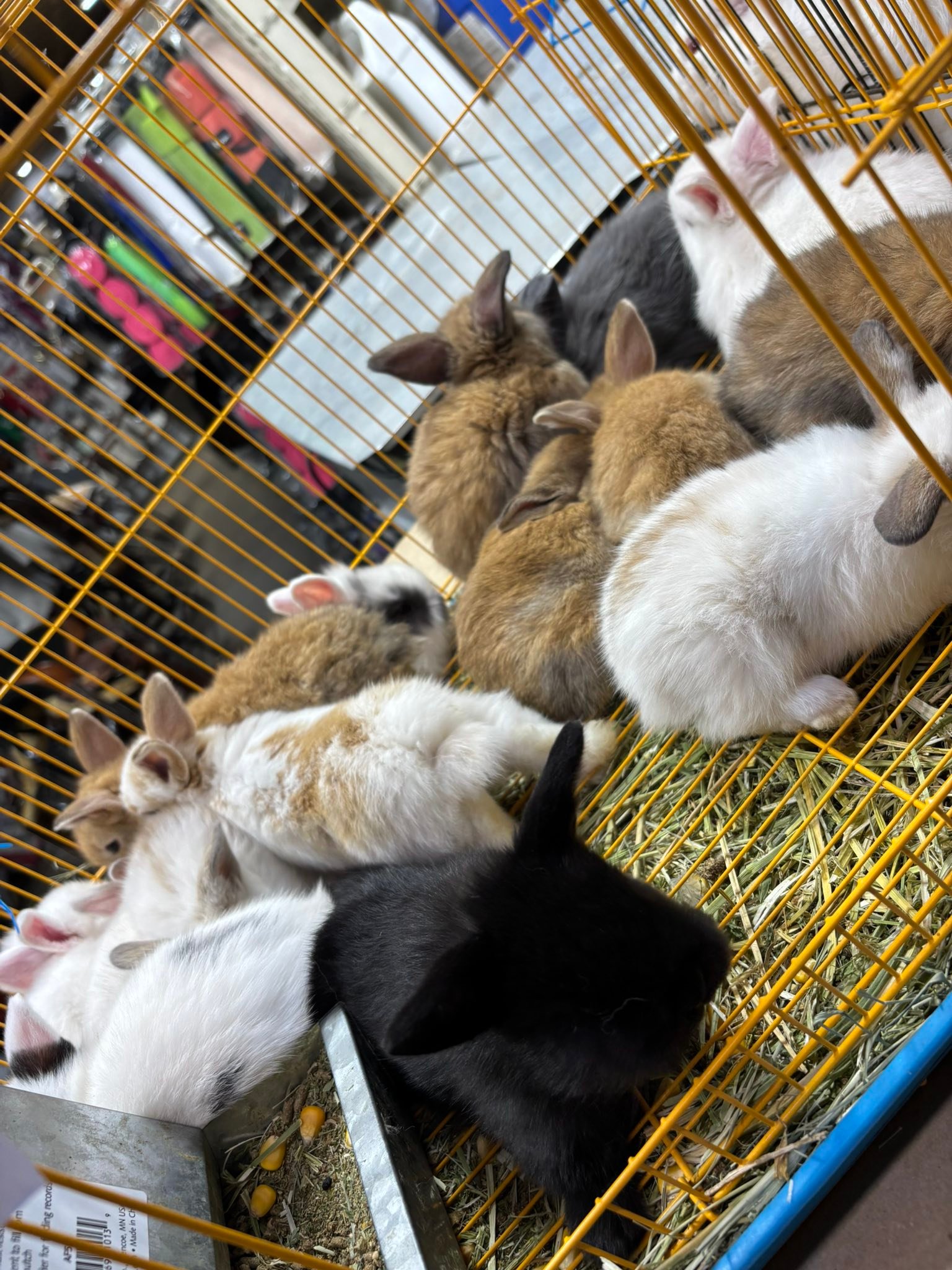 Bushland Ranch Store | Laredo TX