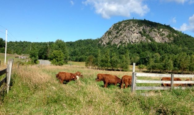 Beautiful Adirondack views at... - North Country Food Co-op