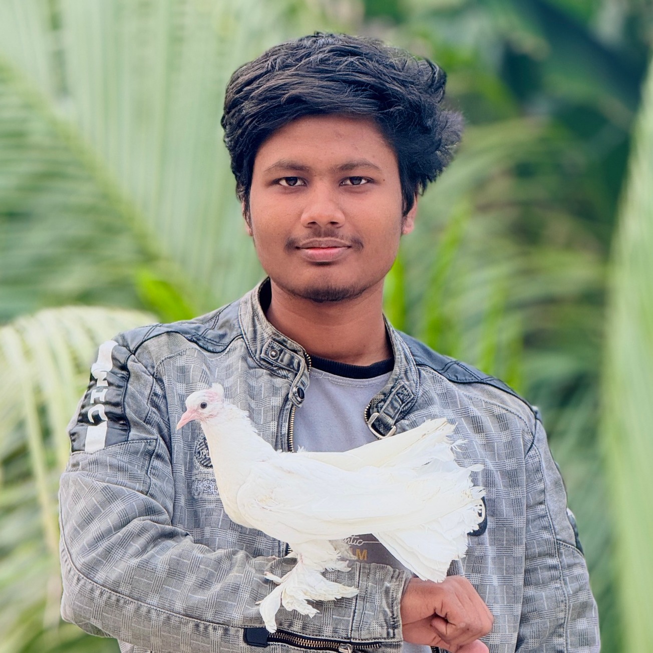 Syeed Agro