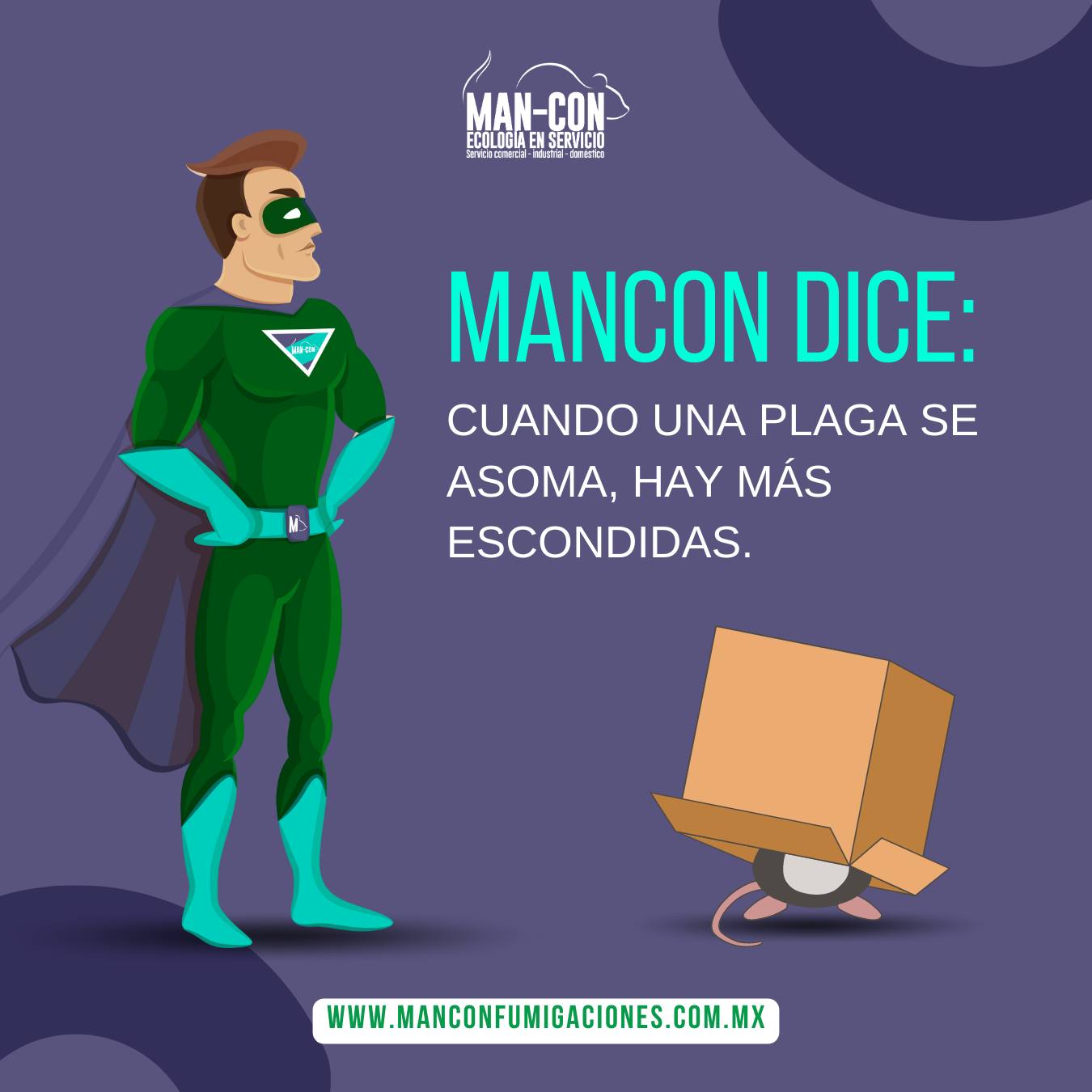 Las plagas son transmisores de... - Mancon fumigaciones