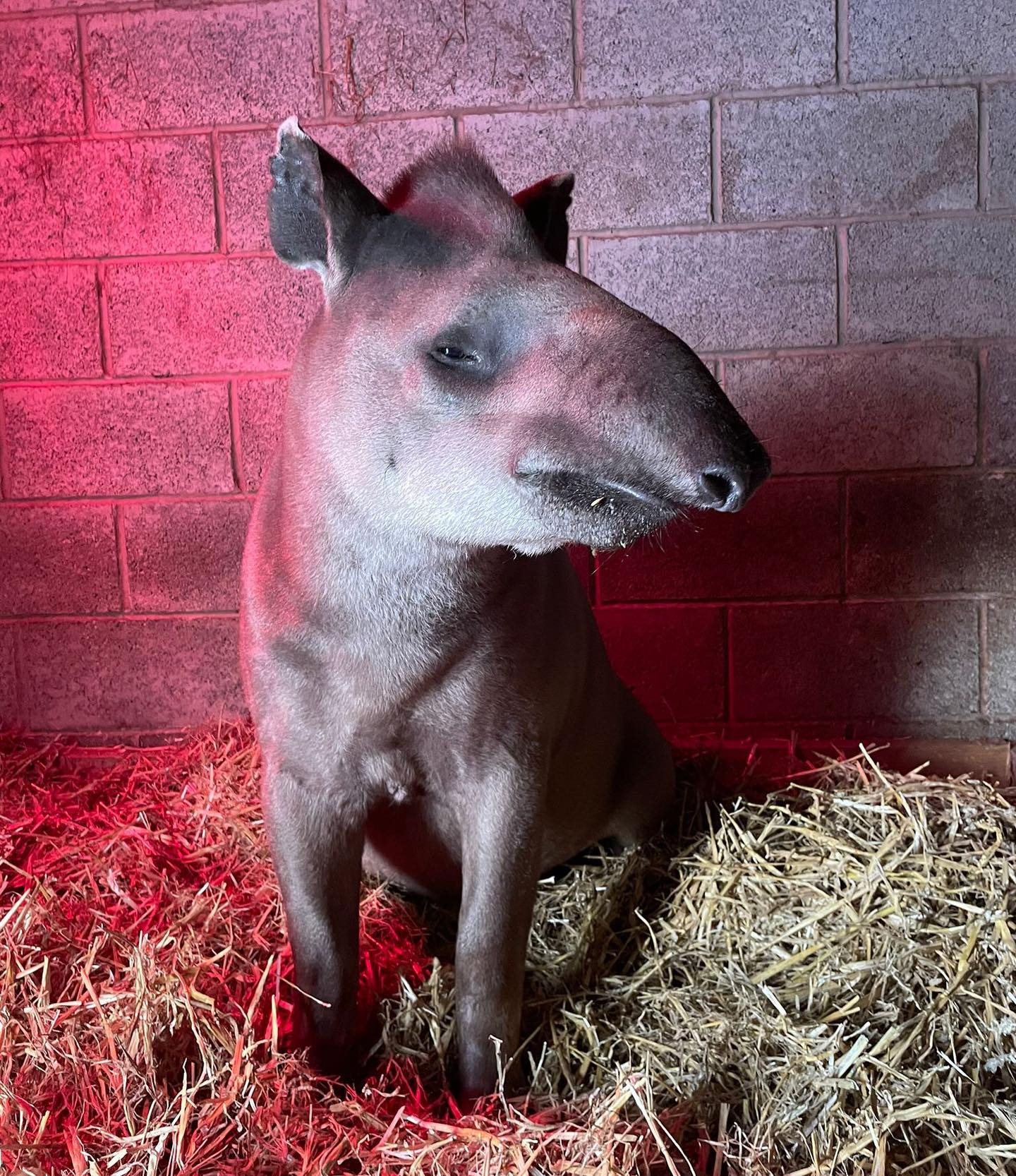 Strelley Wildlife Conservation Facility | Nottingham
