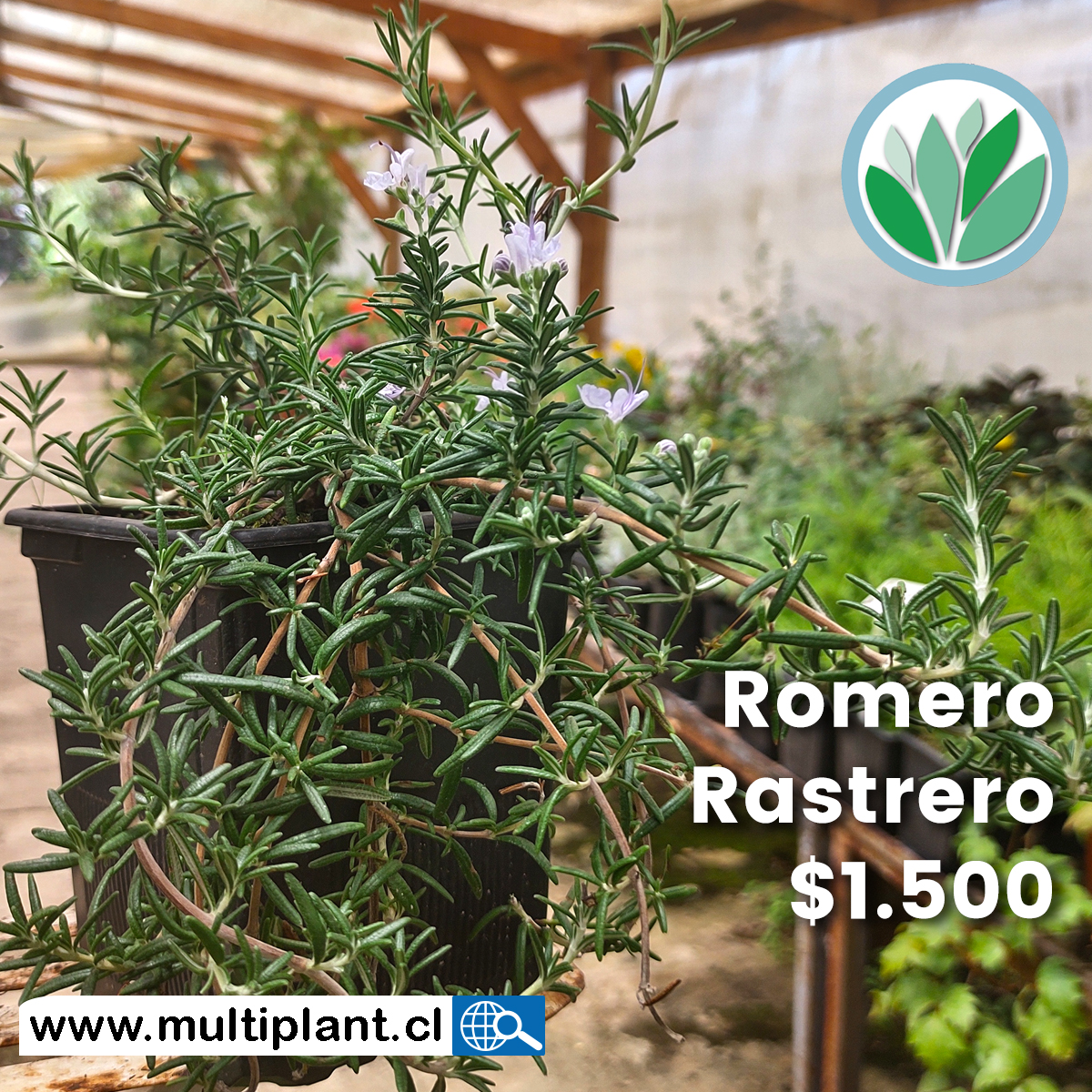 Para cuidar y ahorrar el agua que usas... - Vivero Multiplant | Facebook