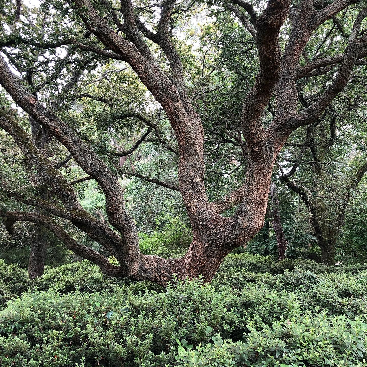COMO - World Environment Day - More Nature - Less Waste - Nature cycles ...