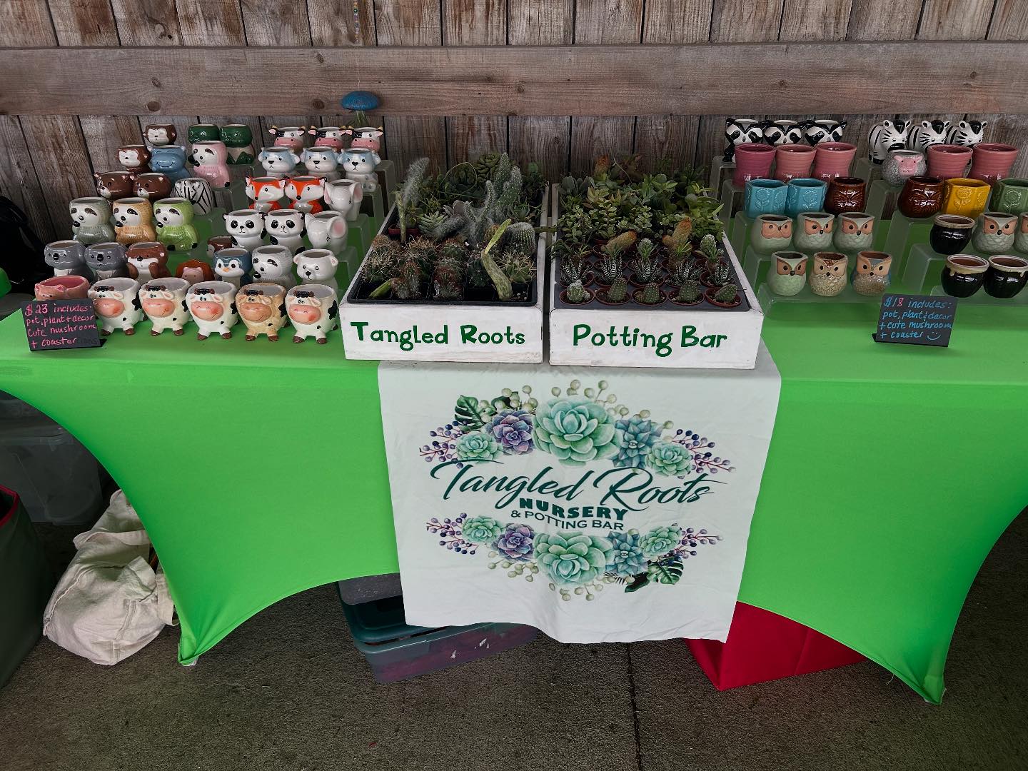Tangled Roots Potting Bar | Lehigh Acres FL