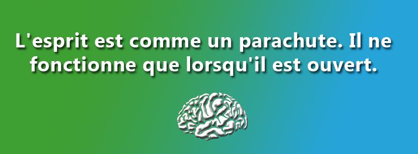 Nouvelle page du... - Réunion des Amateurs de Fox-terriers | Facebook