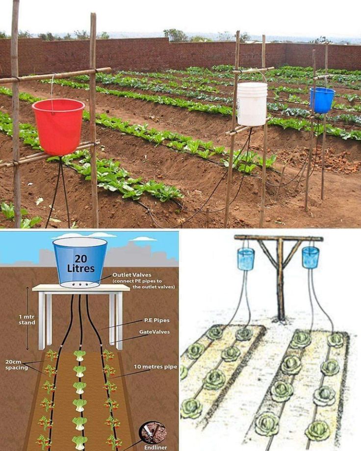 How its Works | a simple gravity-fed drip irrigation system, an ...