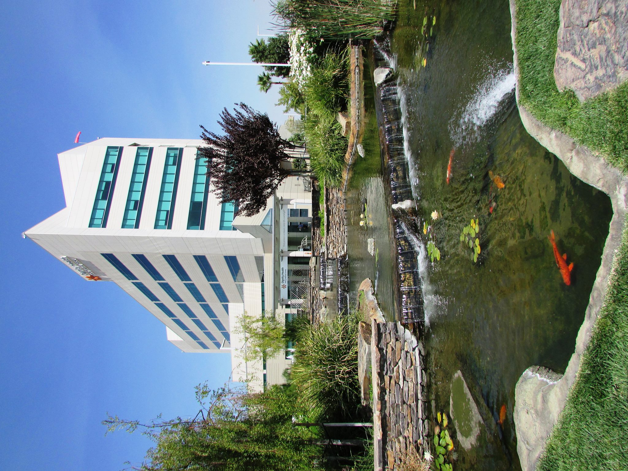 Mercy Medical Center Merced... - Mercy Medical Center Merced