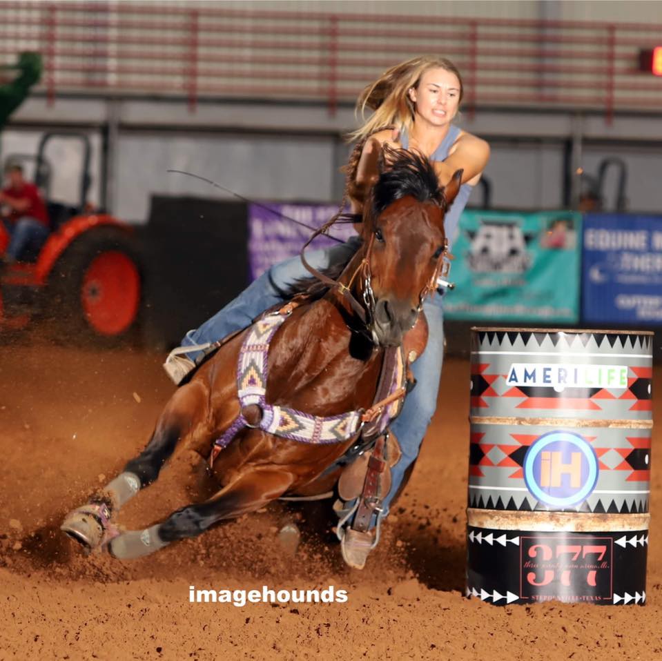 CC Performance Horses | Hico TX