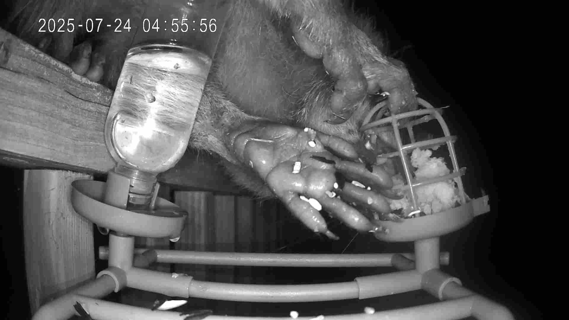 Terra - Um… what in the Appalachian cryptid is this that cut the wire ...