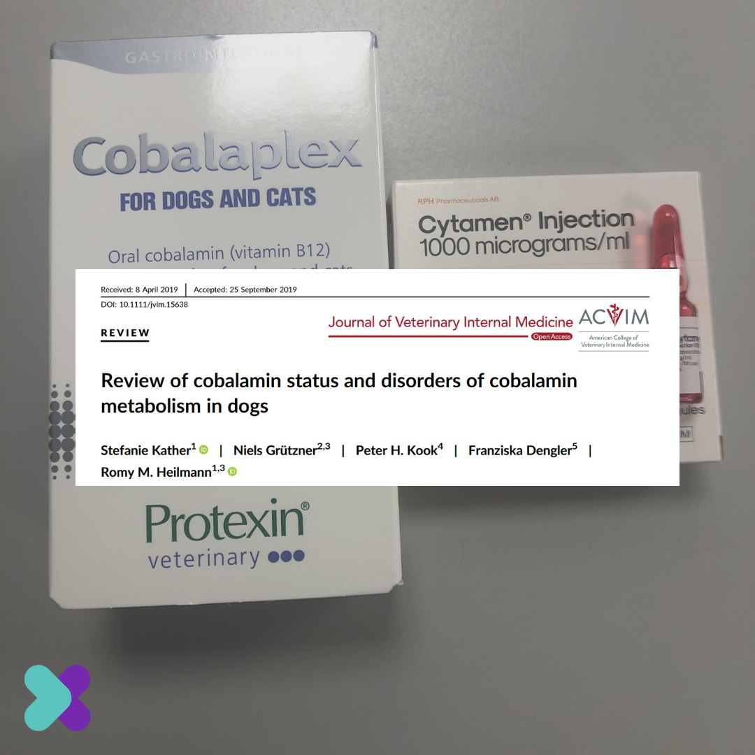 ghk cu prolongs anagen phase hair growth Female Loss in Miami: PRP, PDRN and What Works MG:5mg ghk-cu hair follicle study SKIN TYPE_Combination
