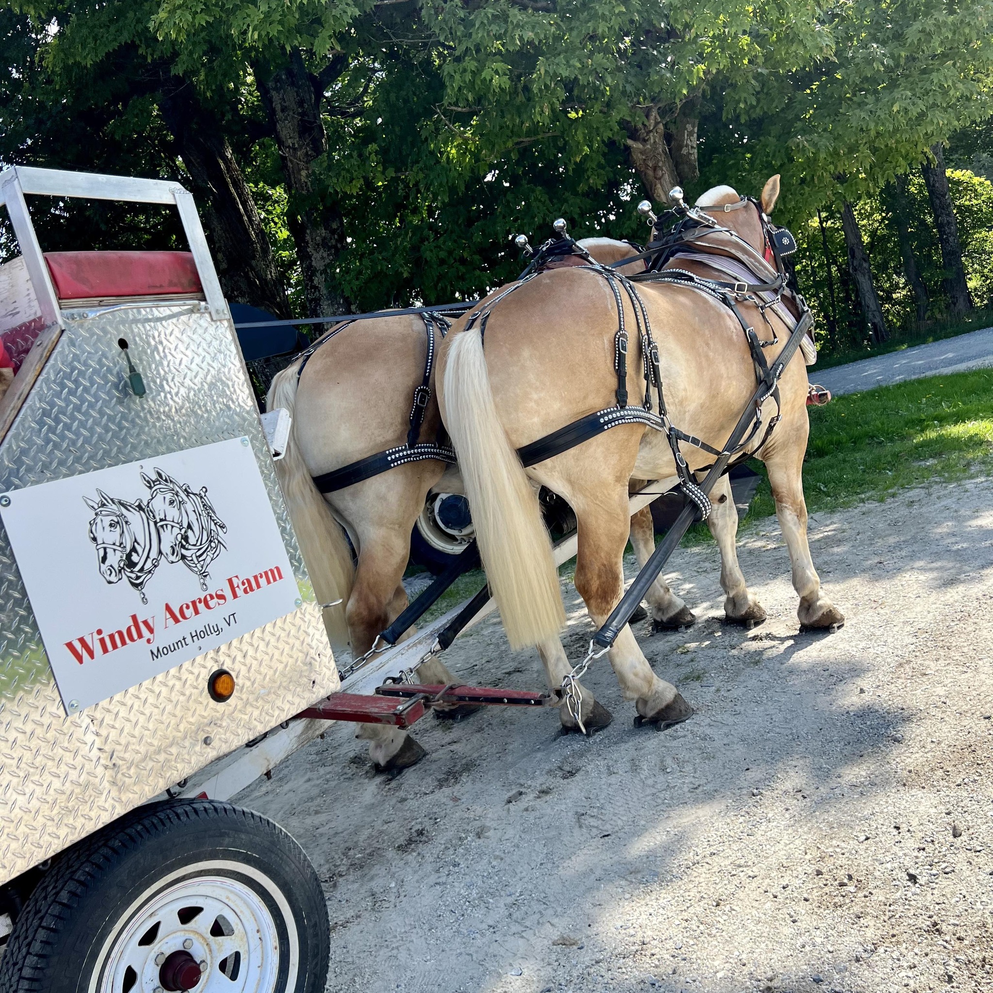 Windy Acres Farm added a new photo. - Windy Acres Farm