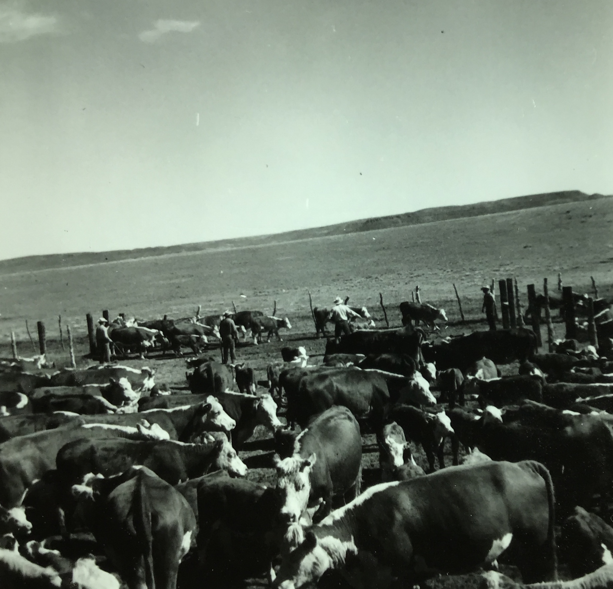 York Canyon Storage | Raton NM