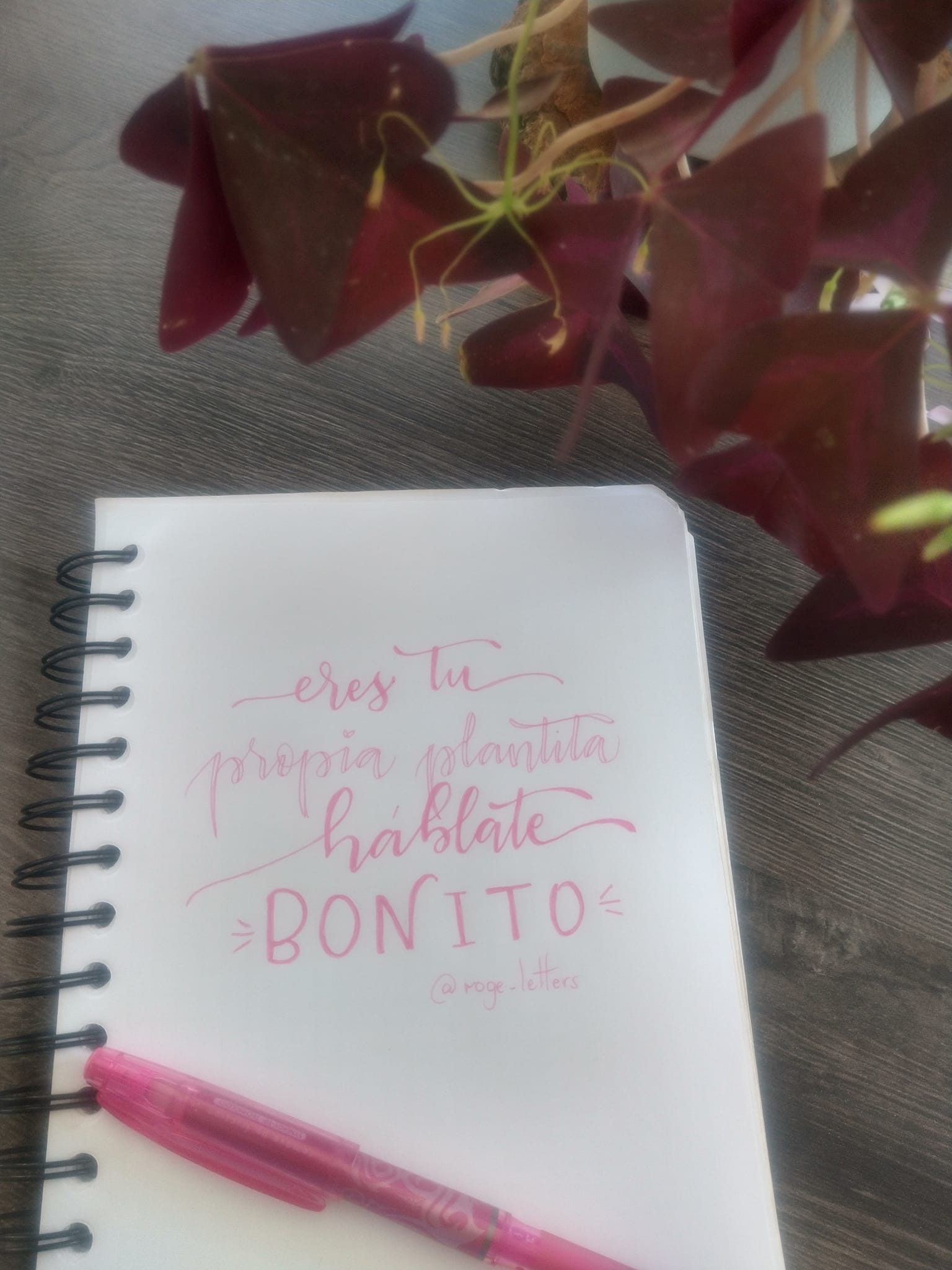 Lettering para el Alma