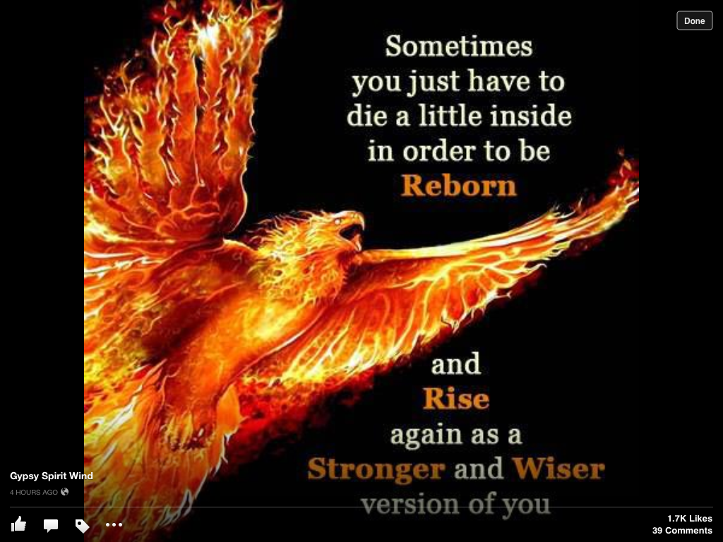 Phoenix Rising-The Movie