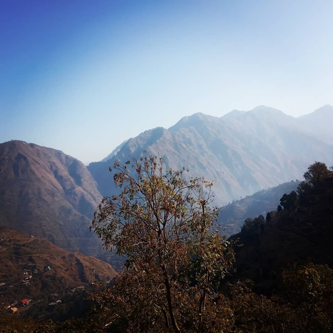 Pine View Holidays Shimla