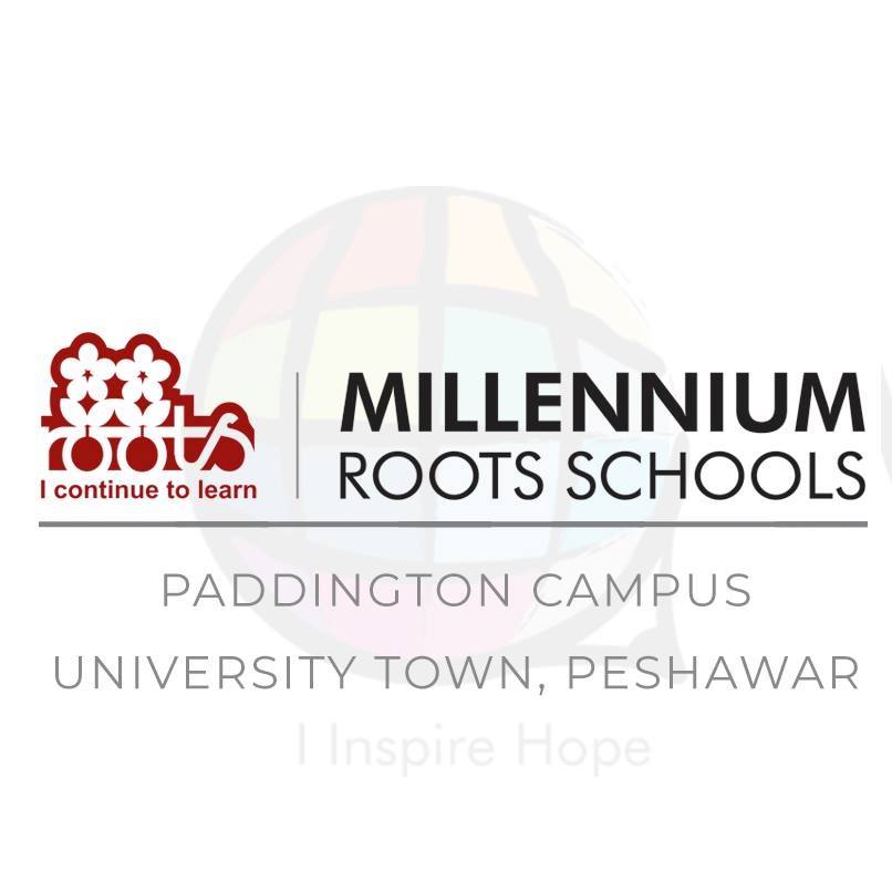 Roots Millennium School, Paddington Campus, University Town, Peshawar ...