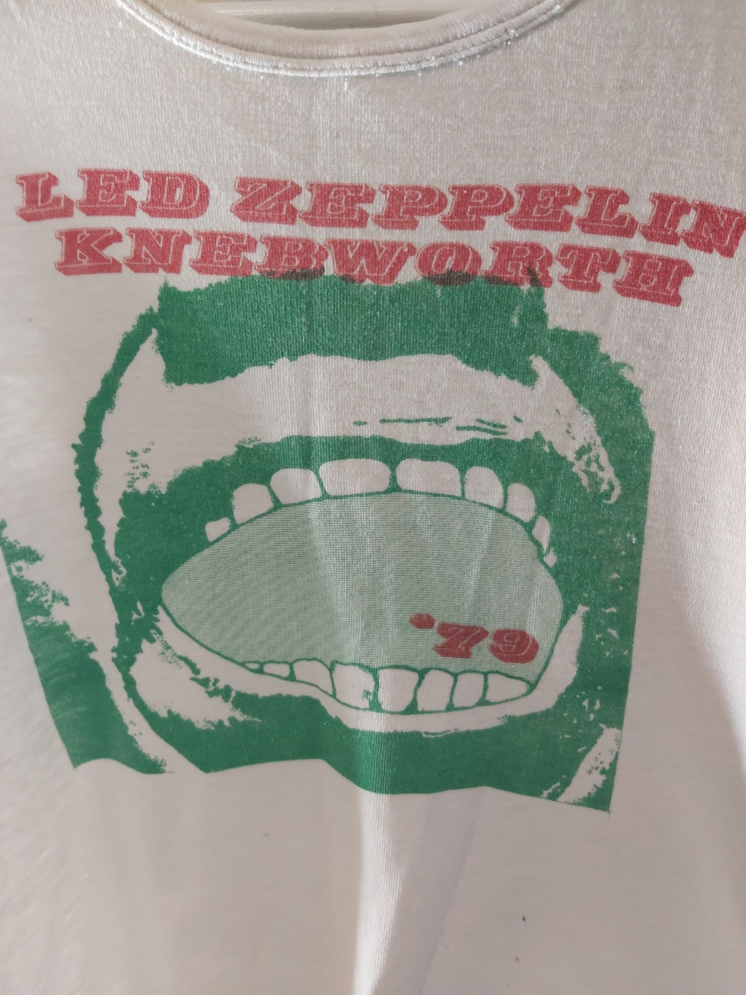 Vintage flying rhino records t-shirt for sale