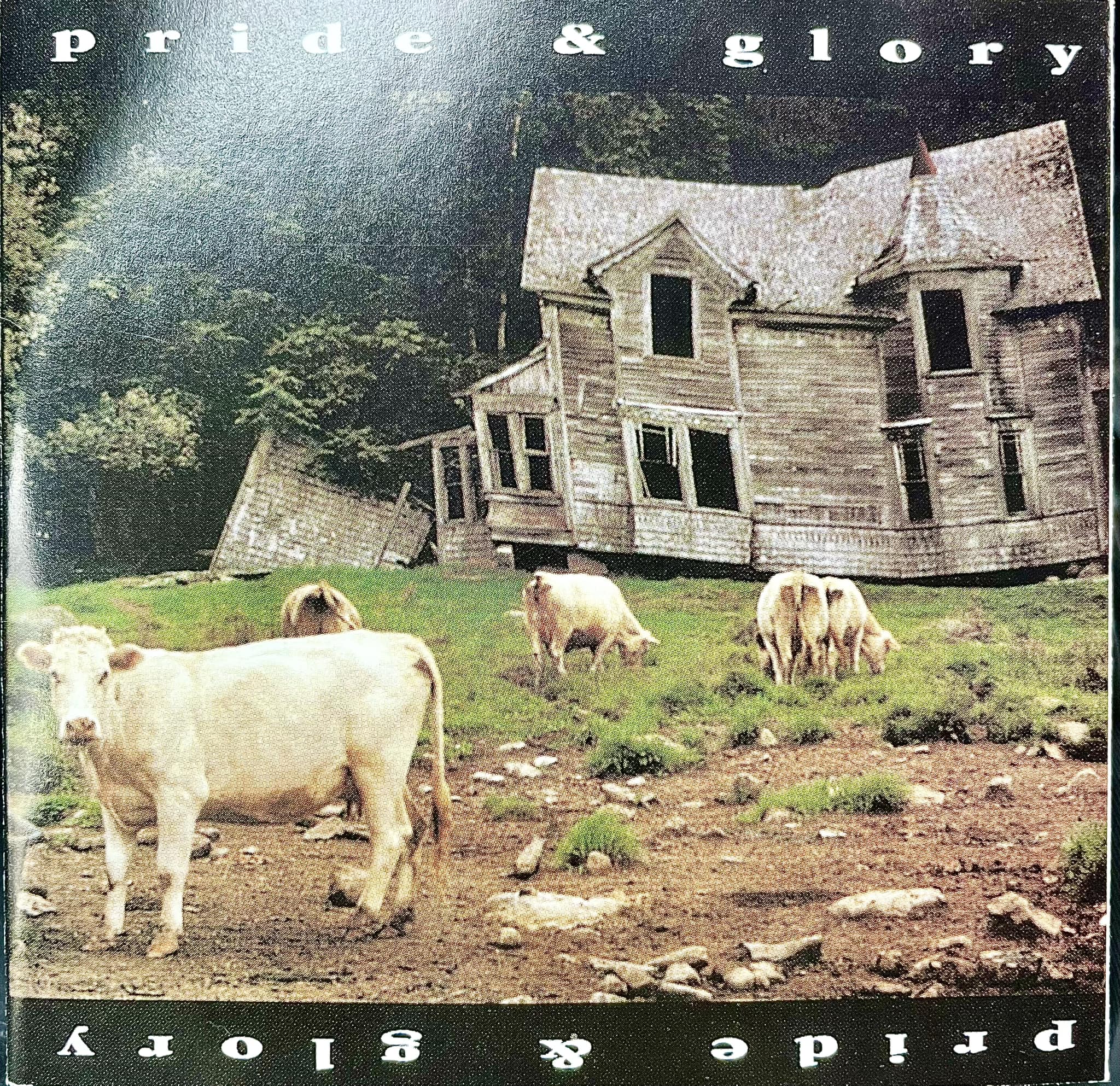 レコード Pride & Glory ピクチャーディスク2LP Zakk Wylde 美盤