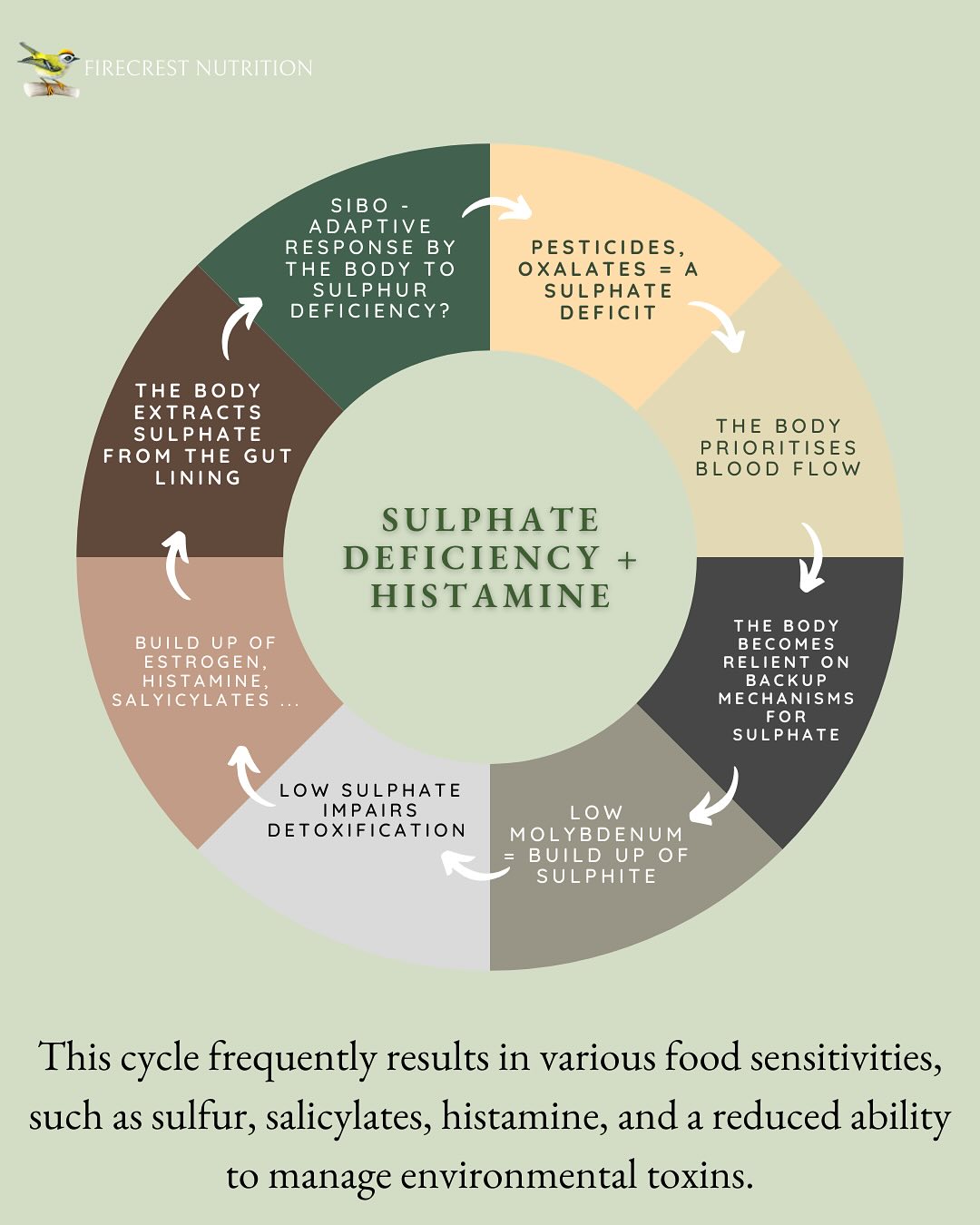 Does glutathione supplement suit those with sulphur intolerance?