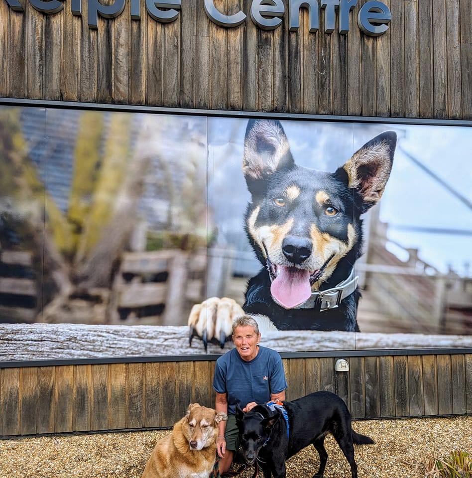 Dog Anxiety | Hello! My dogs been on sertraline (zoloft) for a 6 weeks ...