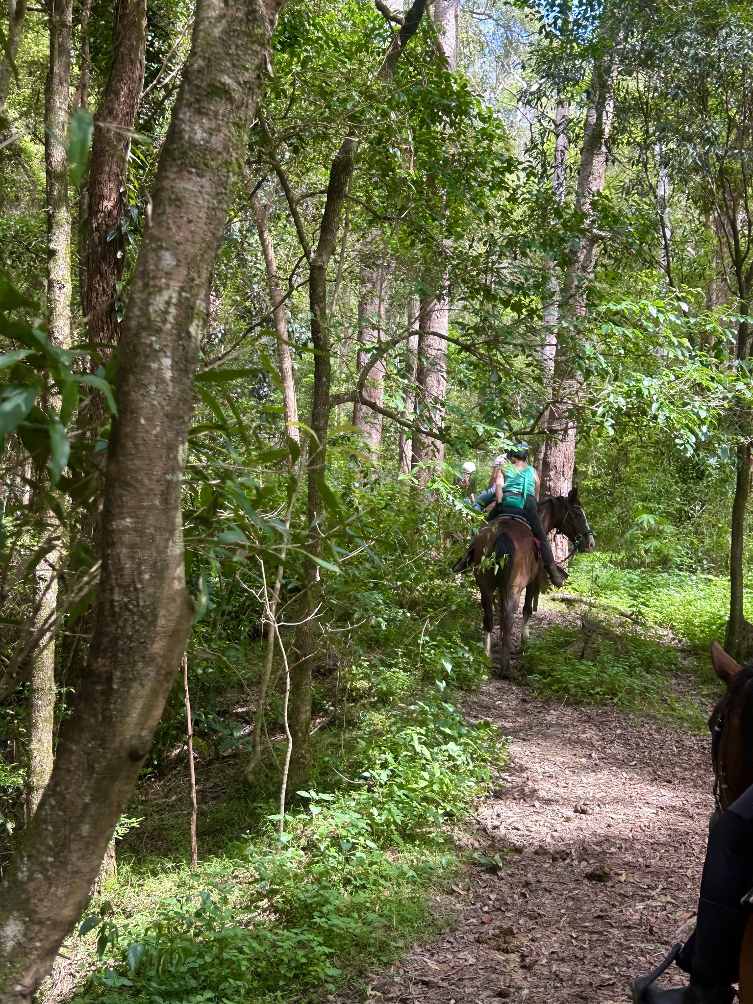 Mooloolah Valley Holidays | Mooloolah Valley QLD