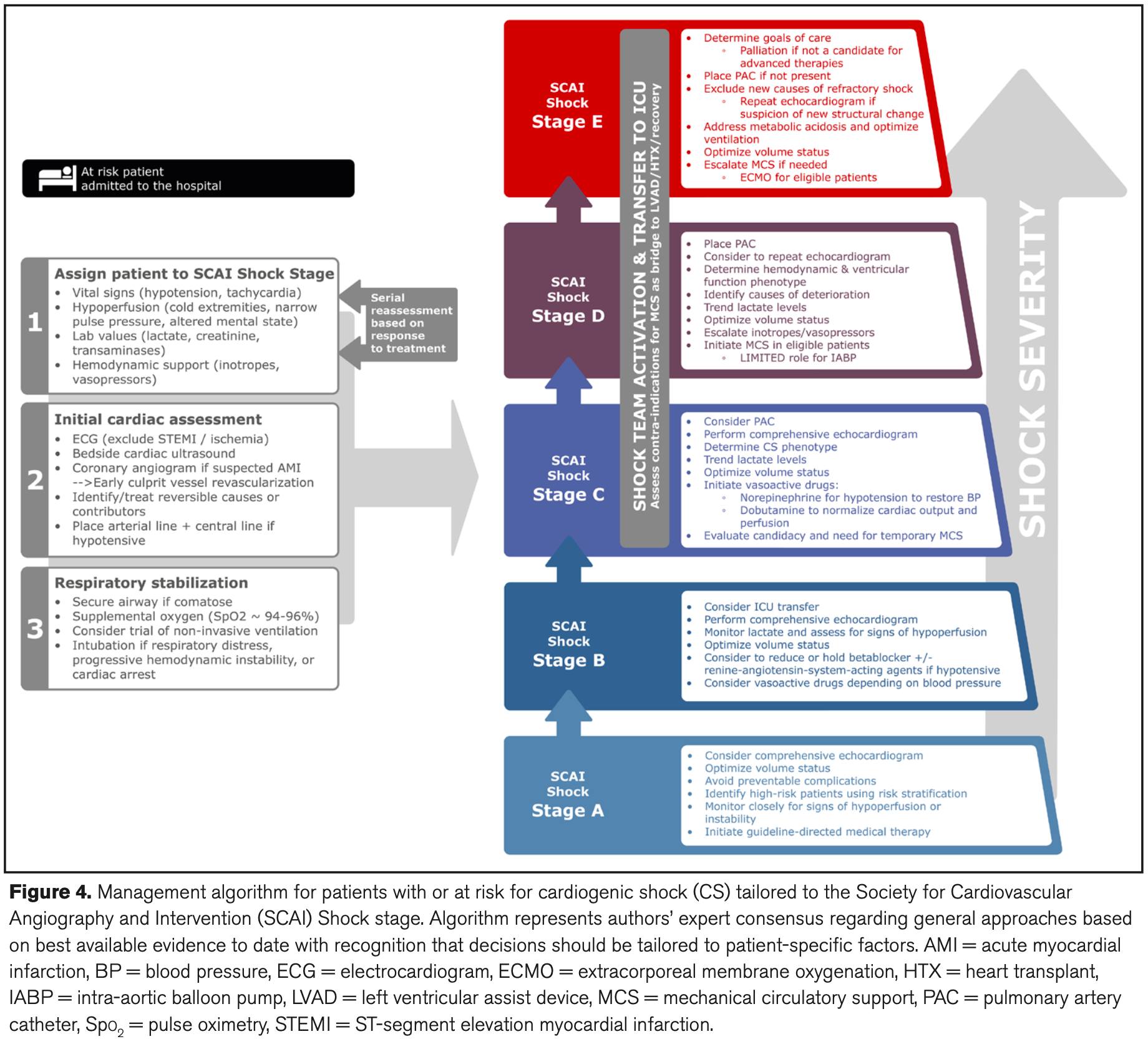 MedClub - #Cardiología #MedicinaCrítica Algoritmo de... | Facebook