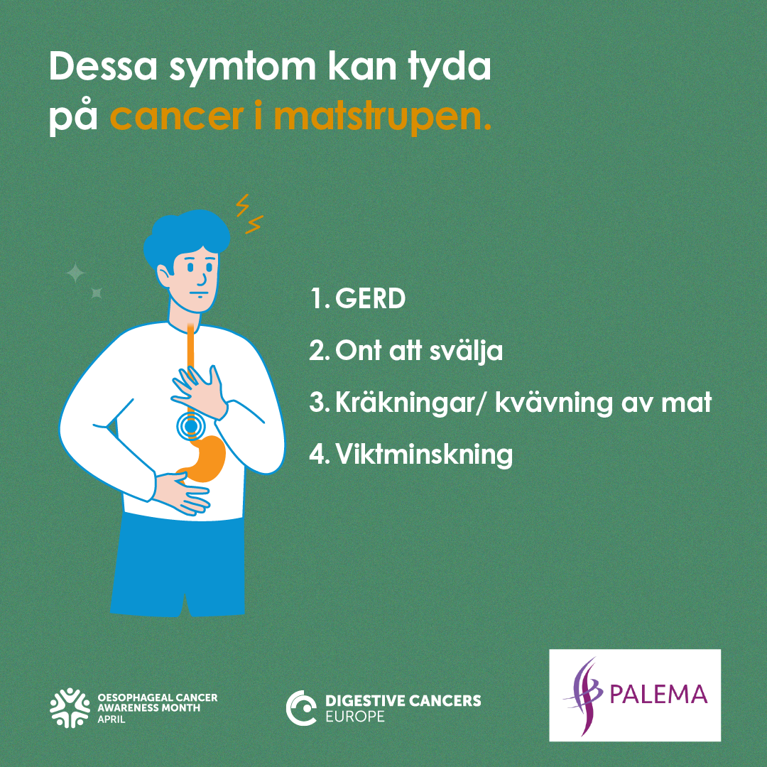 Palema - pankreas, lever/galla, matstrupe och magsäck cancer - Cancer i ...
