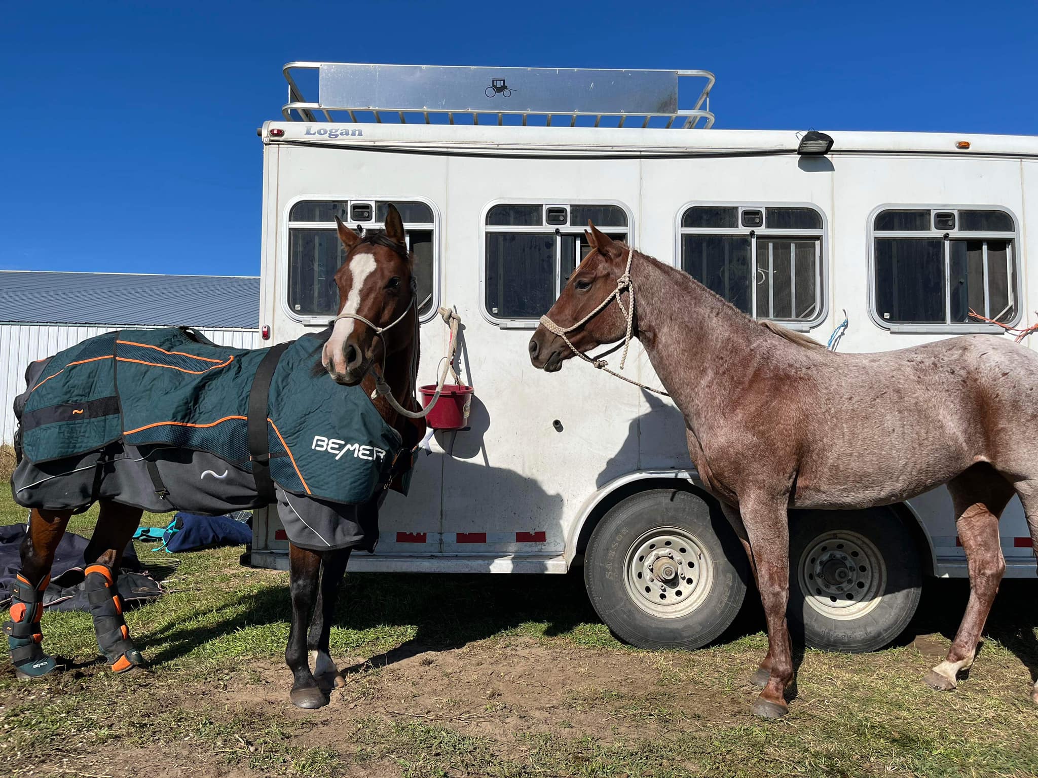 Spring - Bailey Schellenberg will have her Bemer with her tonight at ...