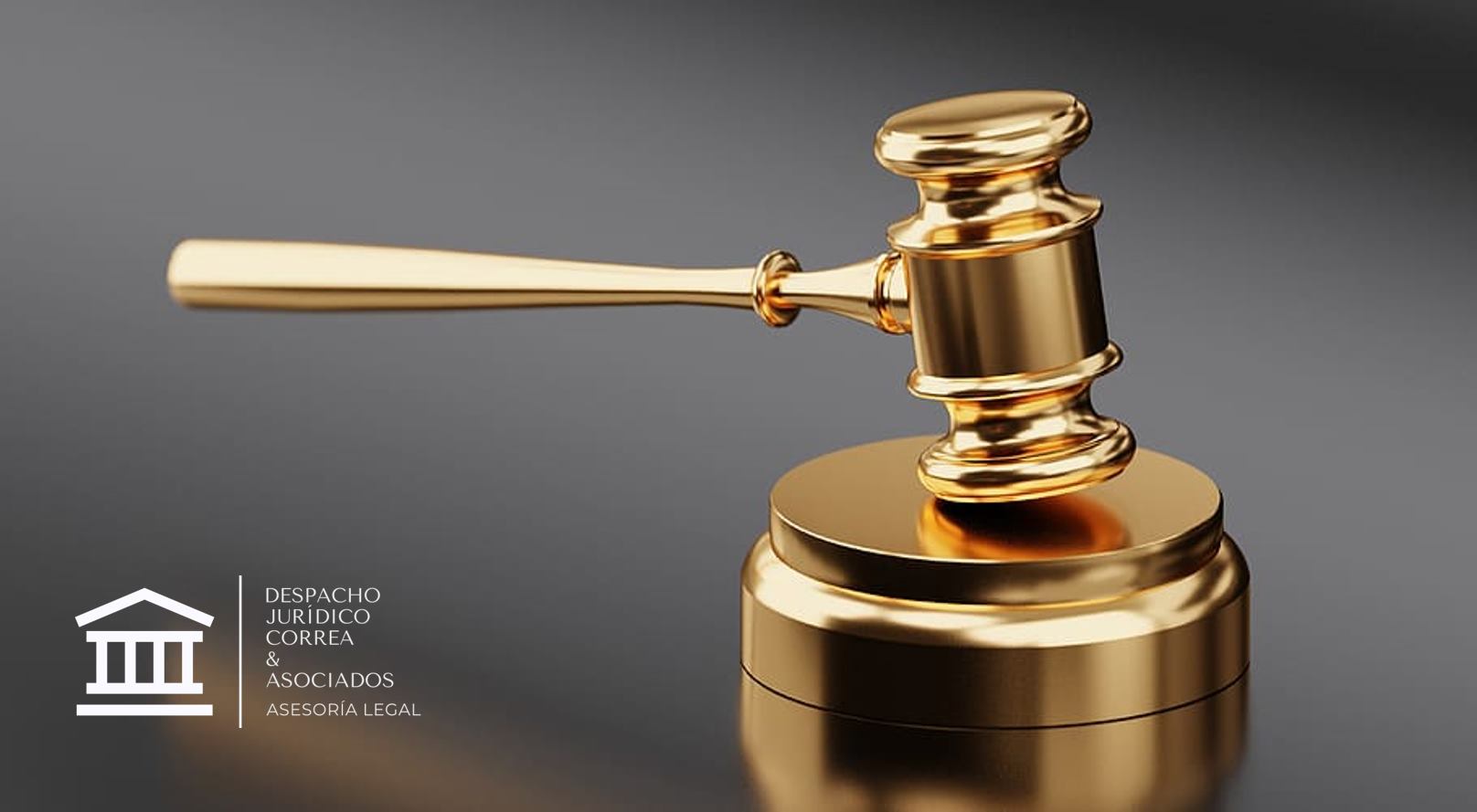 Fonkona Abogados - C. JUEZ DE LO FAMILIAR P R E S E N T E ...