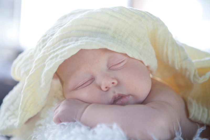 Barb Rathbun Photography