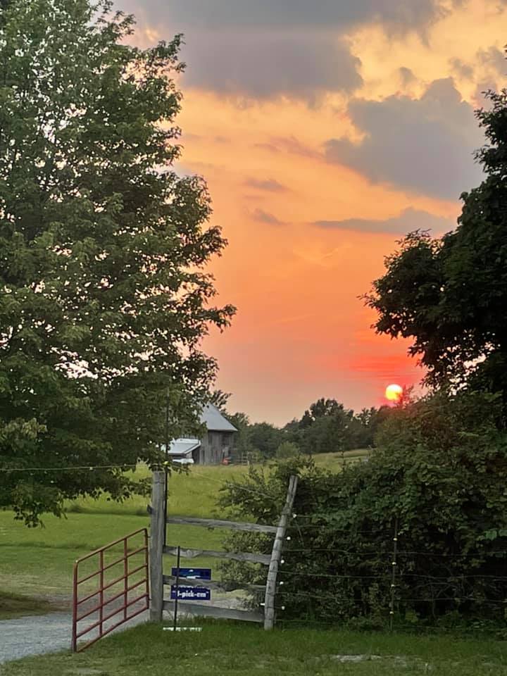 Hello friends~ The sun has set on... - Blueberry Ridge Farm | Facebook