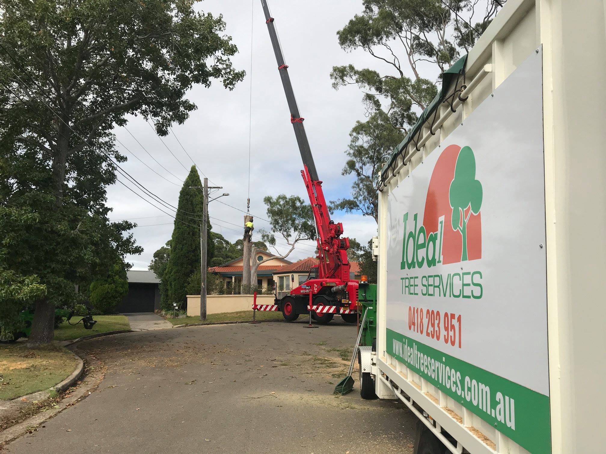 Ideal tree services 0418293951