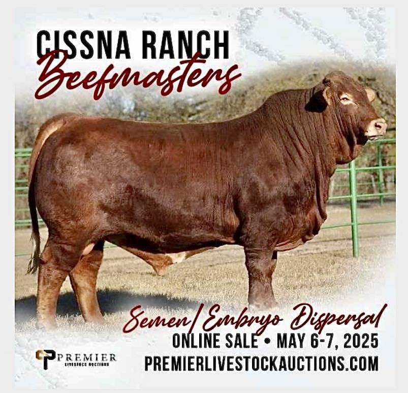 Strategy - ⭐️Cissna Ranch Semen and Embryo Dispersal Online Sale LIVE ...