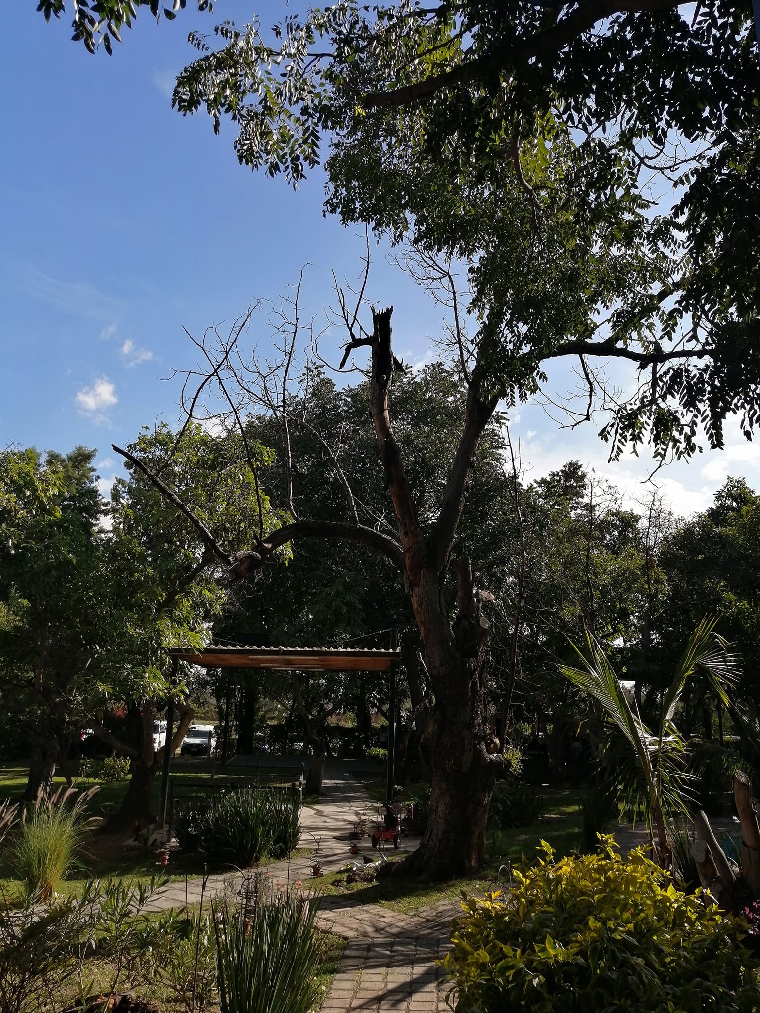 Quinta San Pedro | Irapuato
