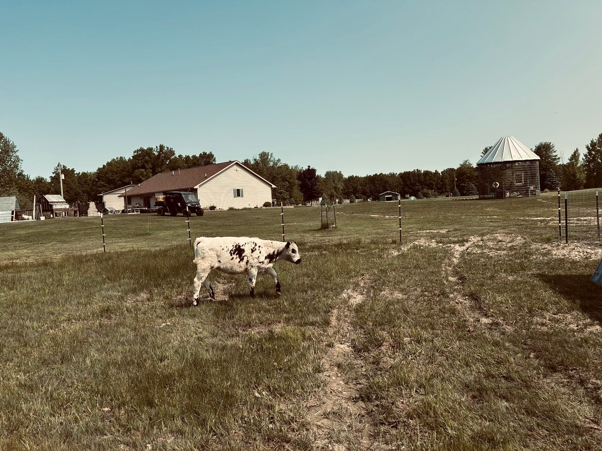 The Enright Homestead | Brant MI