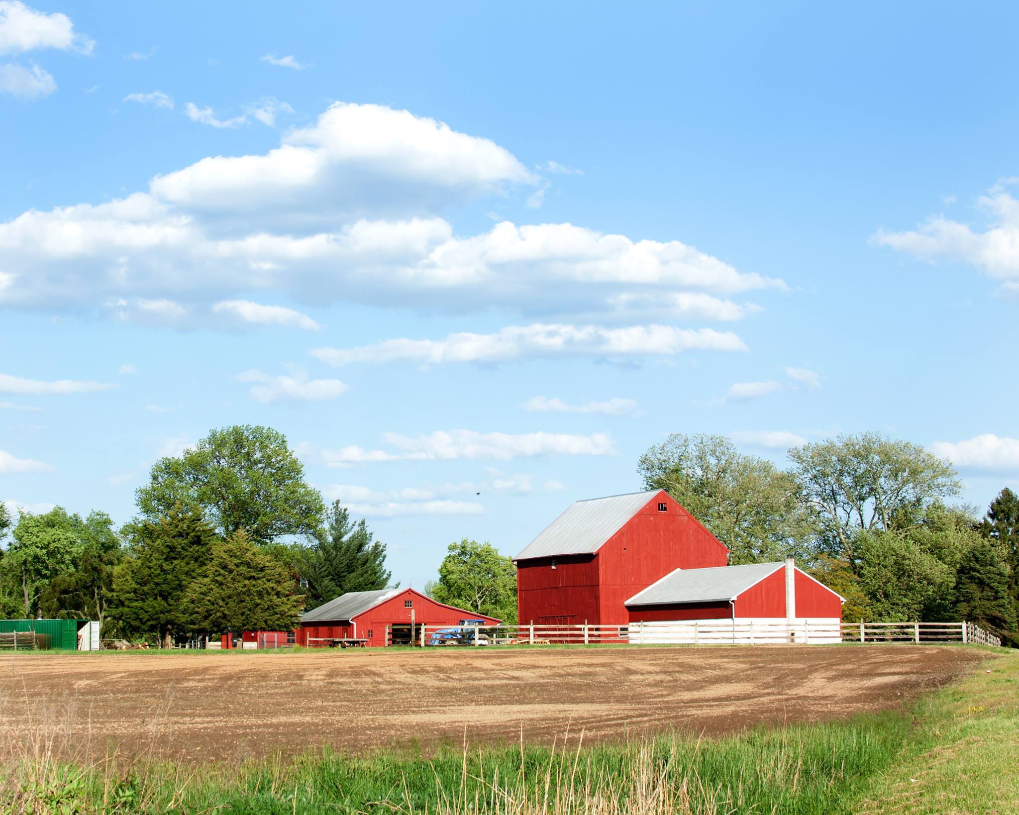 FCHS Gloucester County, Rutgers Cooperative Extension - Kids need ...