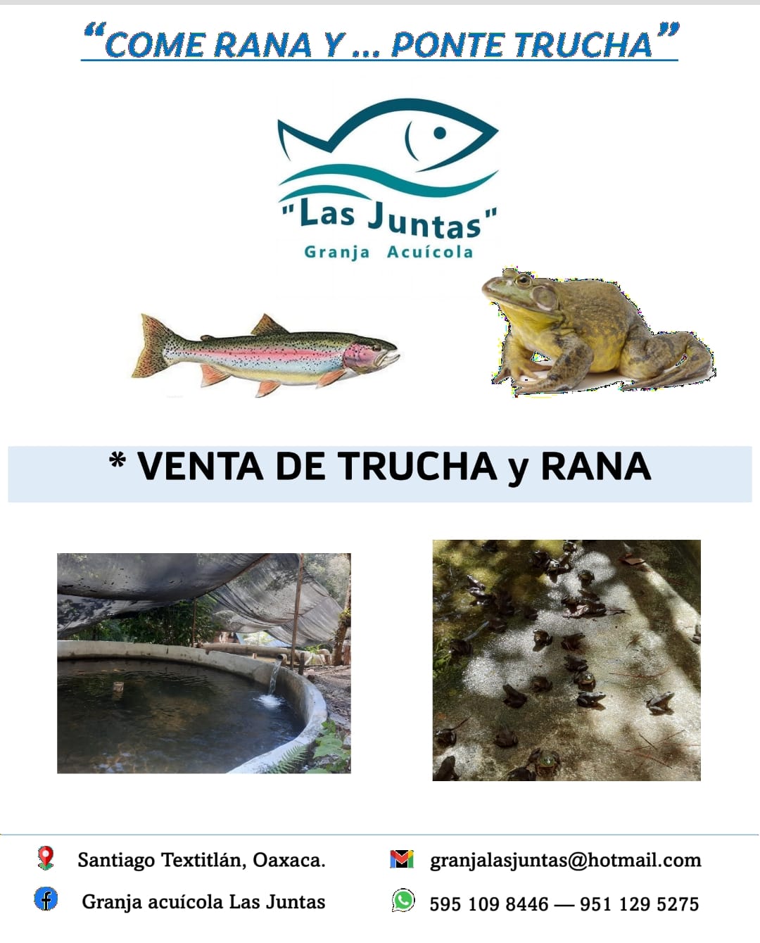 Revista - Se ha publicado el Volumen XI, Número 1 de la Revista ...
