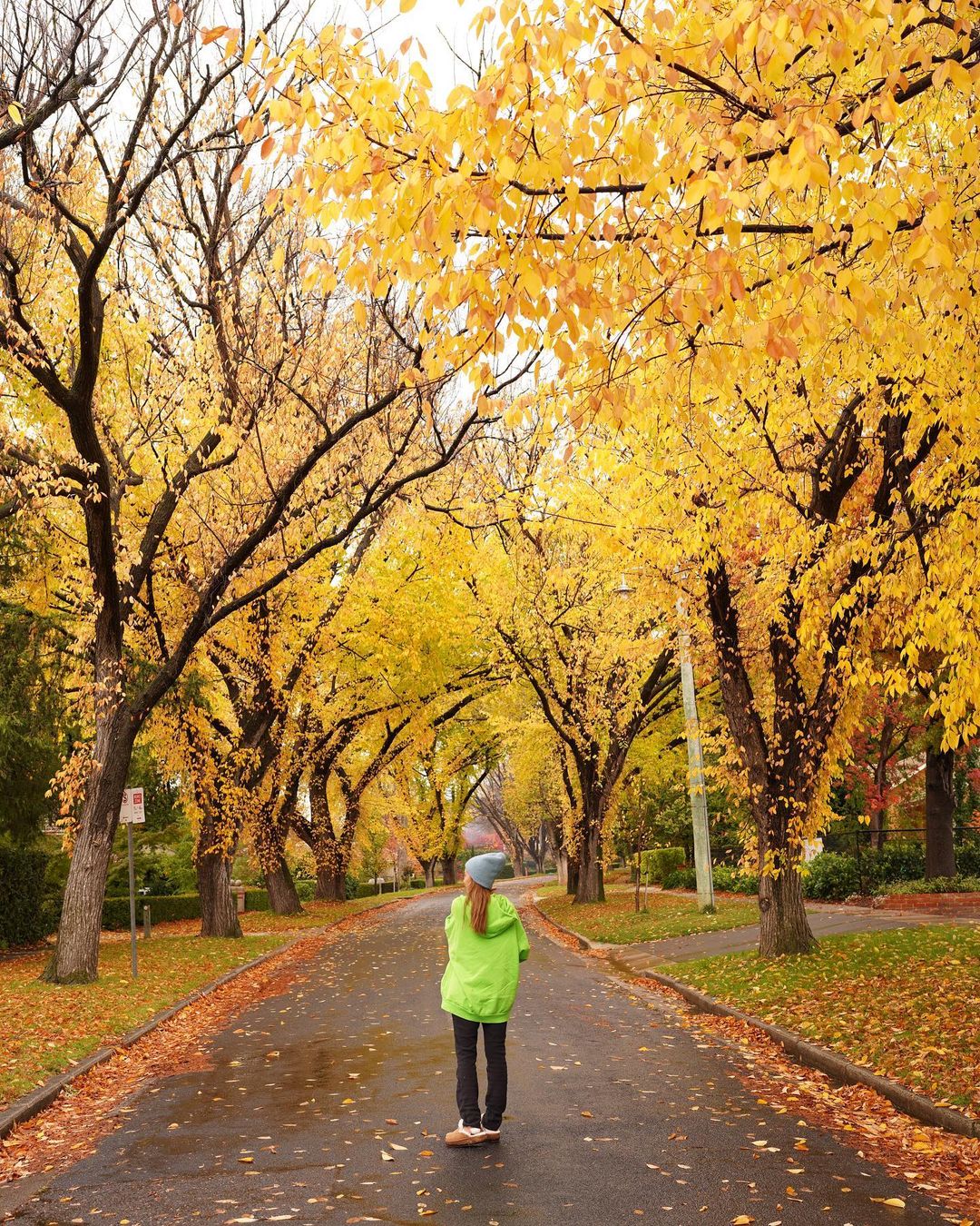 Visit Canberra - We are loving all of your Autumn snaps 🍂📸...