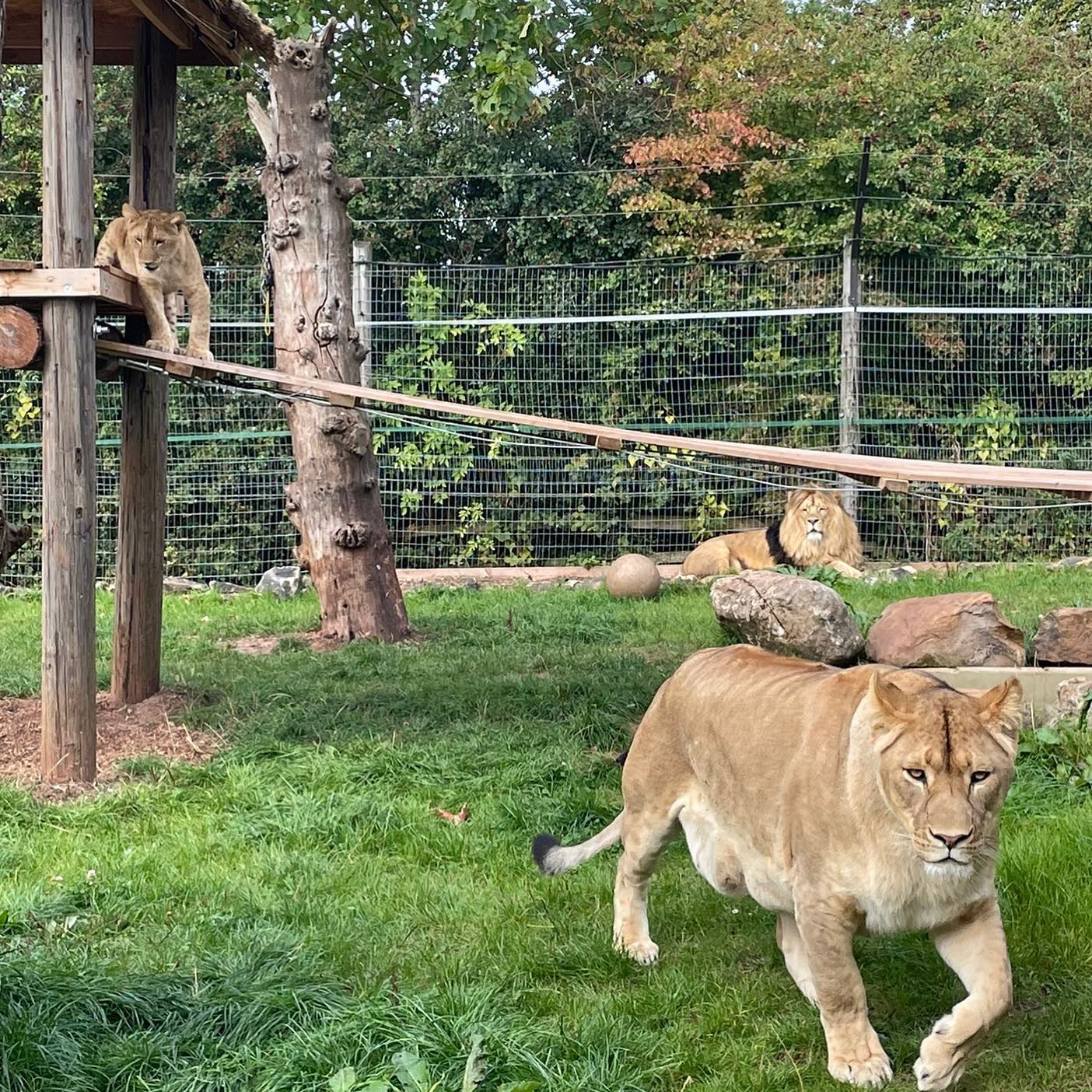 Strelley Wildlife Conservation Facility | Nottingham