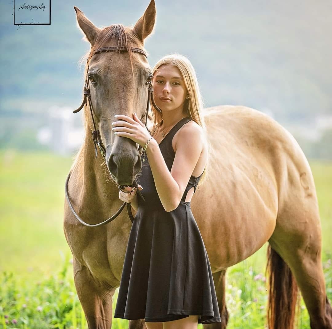 Rope Horses, Rodeo Horses, and Ranch Horses | AQHA DD Sterling OjoSmoke ...