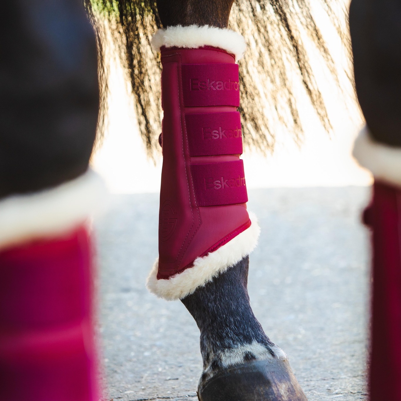 Express Equine - The new Eskadron Tendon Boots Softslate... | Facebook