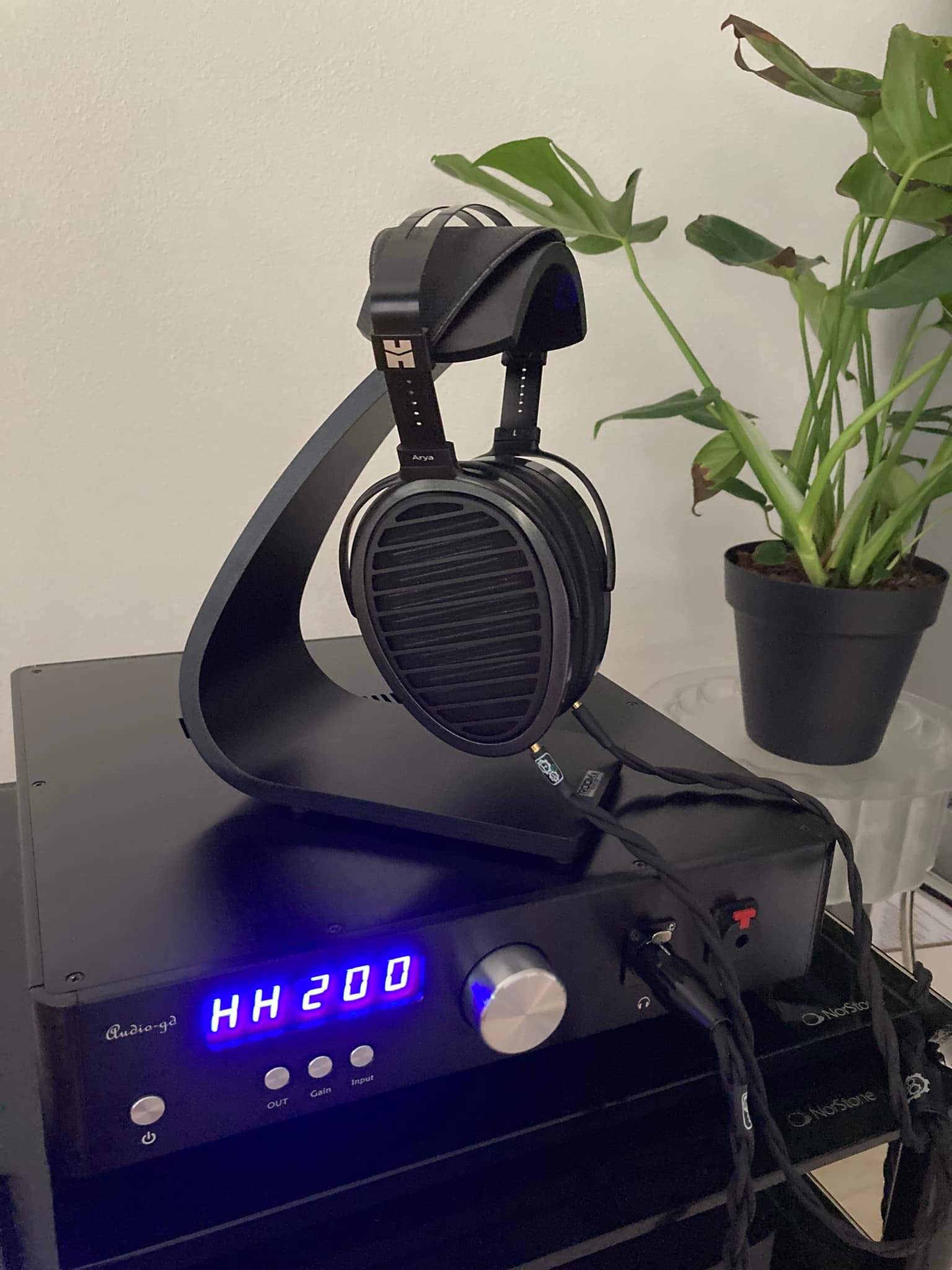 Upgrading hifiman ananda unveiled headphones with brise audio 